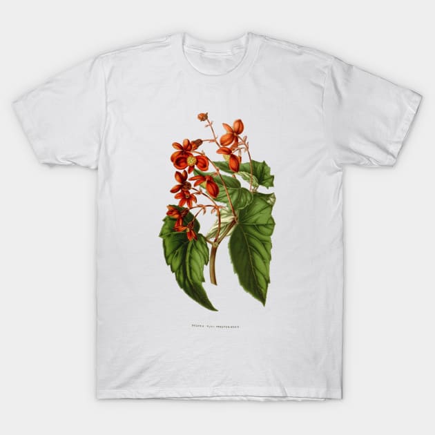 Vintage Botanical Flowers T-Shirt by PaperMoonGifts